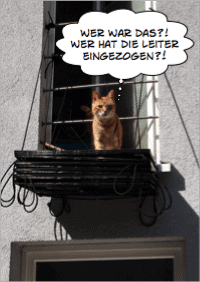 falt-katzenleiter-eingezogen Katze auf eingezogener Katzenleiter