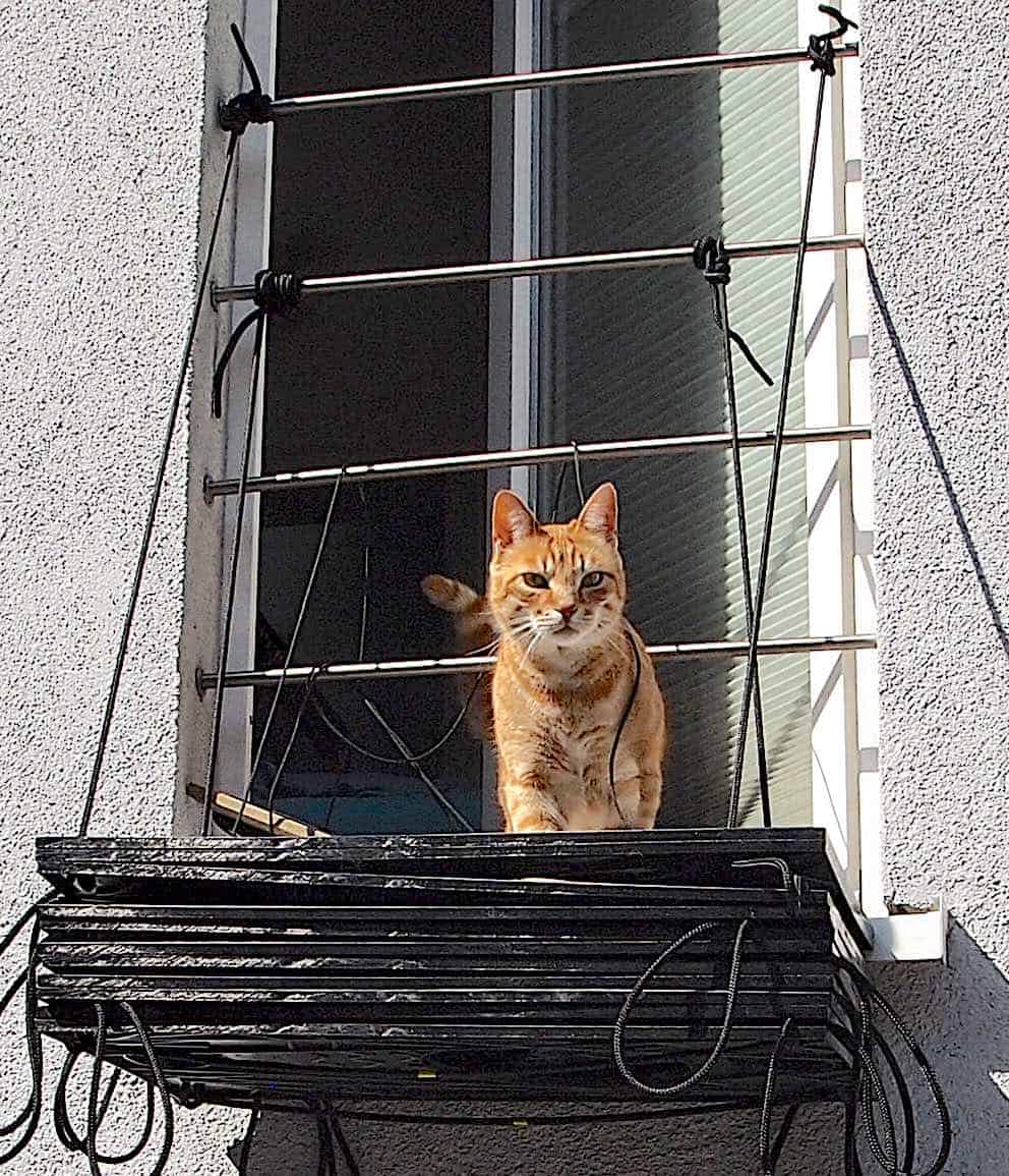aufhaengung-falt-katzenleiter Aufhängung der faltbaren Katzenleiter an einem französischen Balkon
