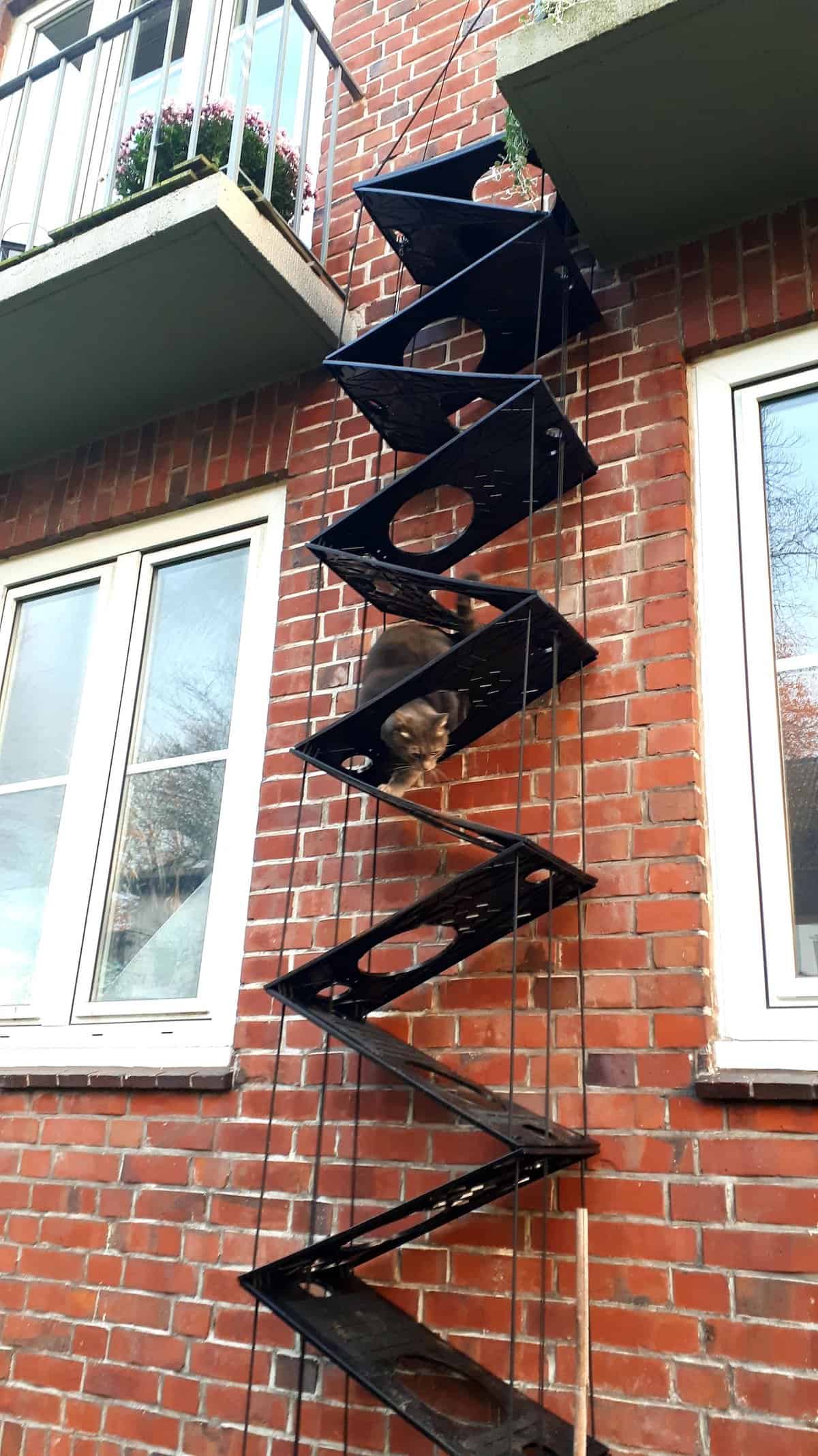 katzenleier-vor-backsteinwand Katzentreppe an Ziegelmauer