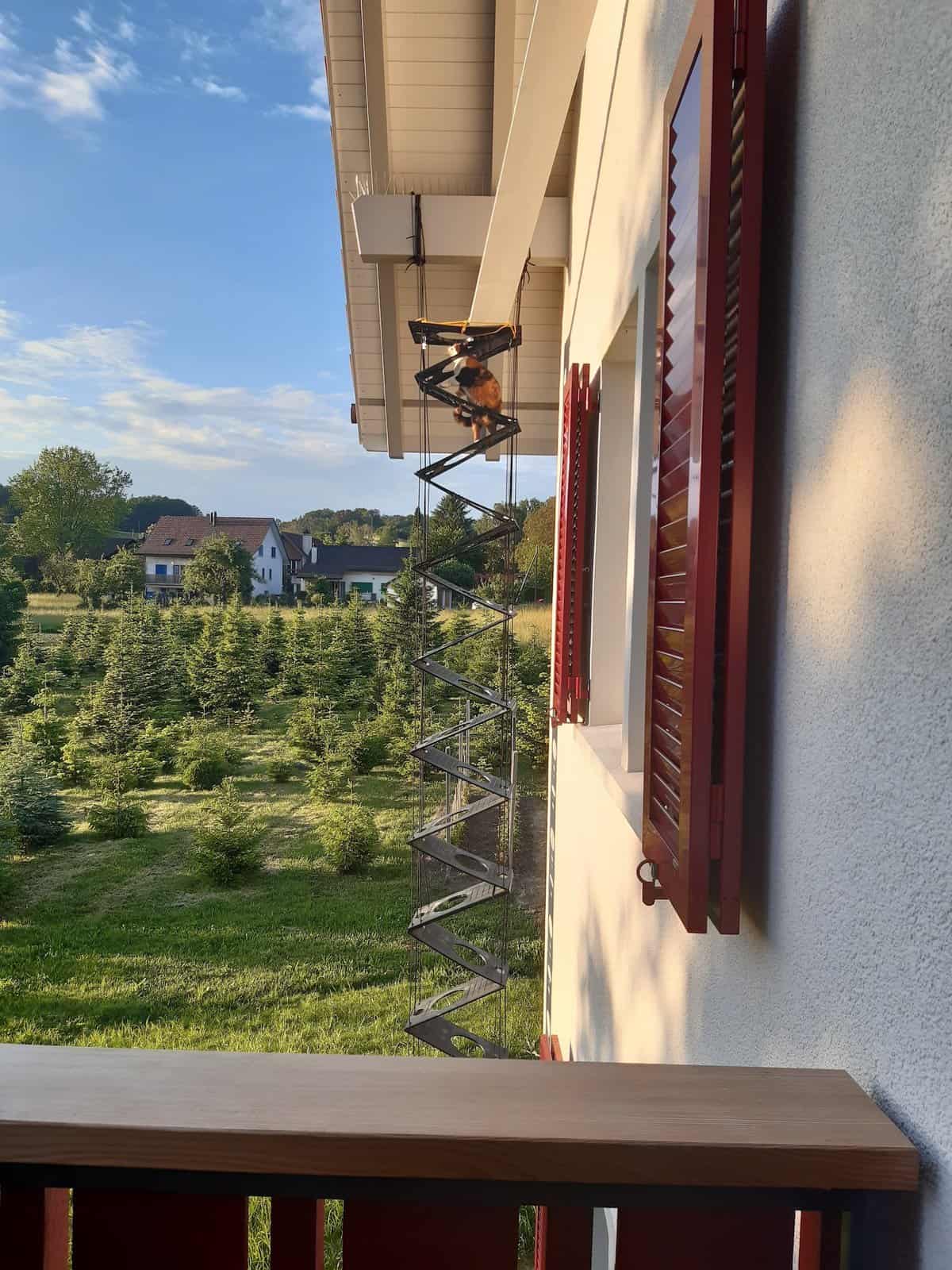 katzentreppe-hoch-frei-haengend Lange Katzenleiter vor schöner Landschaft