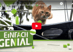 Immerzu - das neueste Produkt der Faltkatzenleitererfinderin